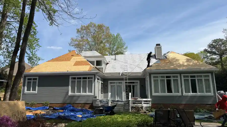 Expert Roofer