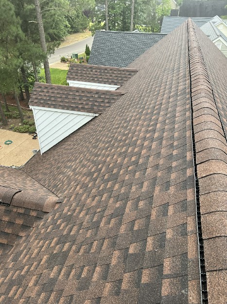 Expert Roofing